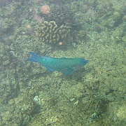Picture 072